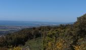 Tour Wandern La Londe-les-Maures - valcros babaou - Photo 4