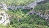 Excursión Senderismo Monieux - gorge de la Nesque  - Photo 4