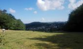 Tour Wandern Andenne - 20190702 Kevret - Photo 14