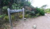 Tocht Stappen Saint-Raphaël - au coeur de l 'Esterel - Photo 12