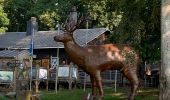 Tour Wandern Saint-Hubert - Transforestiere 3  - Photo 18