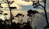 Trail Walking Bandol - Boucle Bandol - Port d'Alon - Dune de sable - La Madrague - Port d'Alon - Bandol - Photo 4