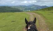 Trail Horseback riding Baztan - Elizondo - Urdax - Photo 20