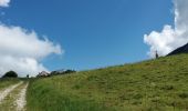 Tour Wandern Bellecombe-en-Bauges - BAUGES: CRET DU CHAR... avec montée par le Golet de Doucy - Photo 4