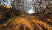 Excursión A pie Holubov - naučná stezka Třísov - Dívčí kámen - Holubov - Photo 6