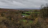 Tour Wandern Philippeville - Samart 221122 - Photo 20