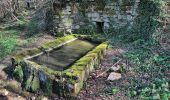 Tocht Te voet Montfaucon - Sentier des Rives et du Château - Photo 8