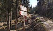 Trail On foot Mezzano - Sentiero di Grugola - Photo 5