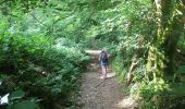 Trail Walking Vresse-sur-Semois - Sugny - Pussemange H/T - Photo 8
