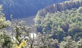 Tour Wandern Hohenfels - Nisramont - Photo 8