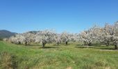 Trail Walking Vaugines - Vaugines-Hermitage-Cucuron - Photo 3