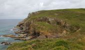 Trail Walking Plogoff - 2019 06 14 Baie Trépassés Penharn - Photo 5