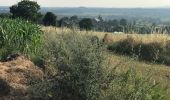 Excursión Bici de montaña Dalhem - 20190717 Yeyette chez Iplain - Photo 2