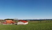 Excursión A pie Wangen im Allgäu - Wanderweg 7 Wangen im Allgäu - Photo 10