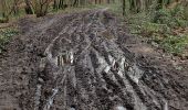 Tocht Stappen Itter - Ittre, Bois des Frères, Champ d'Hurbise - Photo 7