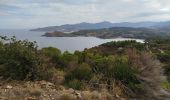 Tocht Stappen Port-Vendres - port vendre, polilles - Photo 2