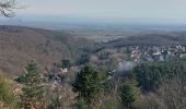 Tocht Stappen Bœrsch - Klingenthal tour Mundel - Photo 2