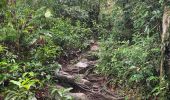 Trail Walking Angra dos Reis - Ilha grande  - Photo 5