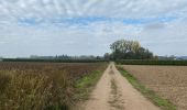 Randonnée Marche Léau - Zoutleeuw 16 km - Photo 5