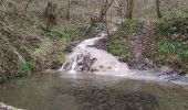 Randonnée Trail Eybens - Le Mûrier - Photo 2