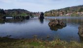 Excursión Senderismo Aydat - lac de la cassiere  - Photo 2