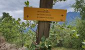 Tour Wandern Vernet-les-Bains - Sahorre dolmen - Photo 6