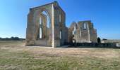 Tocht Stappen La Flotte - Île de Ré  la flotte - Photo 12