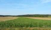 Tour Zu Fuß Gemeinde Göttlesbrunn-Arbesthal - Via Vinum (Rundwanderweg Göttlesbrunn - Arbesthal) - Photo 4