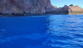 Randonnée Bateau à moteur Ota - Calanques par la mer Scandola Girolata - Photo 16