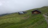 Tour Zu Fuß Safiental - Safien Talkirch-Camanaboda - Photo 4