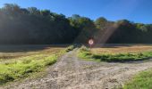 Trail Walking Hamois - Hamois 070923 - Photo 8