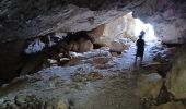 Tour Wandern Plan-d'Aups-Sainte-Baume - Tour Cauvin, Dent de Roque Forcade, grotte de la Grande Baume - Photo 3