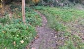 Tour Wandern Aalst - 20221204 Verkenning Moorsel - Photo 10
