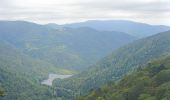 Tocht Stappen Sewen - Circuit lac d'alfeld / ballon d'Alsace  - Photo 1