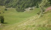 Tour Zu Fuß Unknown - Nationalpark Paklenica - Photo 1