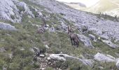 Percorso Camminata nordica Villard-de-Lans - Deux Soeurs - Photo 18