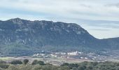 Tocht Stappen Lacoste - Les balcons du Salagou - Photo 13