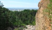 Tour Zu Fuß Schriesheim - Rundwanderweg Schriesheim 4: Steinbruchweg - Photo 5