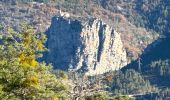 Trail Walking Castellane - Thyrs : sommet du Robion - Photo 17
