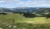 Excursión Senderismo Thônes - Les Glières depuis le Crêt - Photo 10