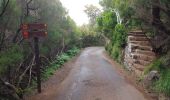 Tocht Stappen Arco da Calheta - Levada do 25 fontes - Photo 10