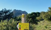 Randonnée Marche Roquebrune-sur-Argens - les hauts de Roquebrune  - Photo 2