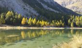 Tour Wandern Villar-Saint-Pancrace - crête de Vallouret - Photo 2