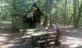 Trail Walking Lemberg - lemberger rothenbergerweg - Photo 18