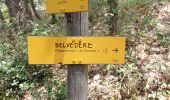 Trail Walking Vernet-les-Bains - pic Alzina - Photo 8