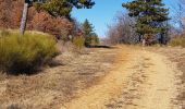 Trail Walking Sourribes - La Souriboise deppart Souribes  540 + - Photo 3