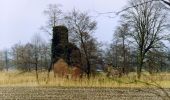 Tour Zu Fuß Lochem - Nettelhorst Route - Photo 4