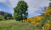 Trail Walking Bastogne - Lutrebois 030622 - Photo 5