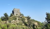 Randonnée Marche Corsavy - mine de batere . puig d estella . tout batere - Photo 7