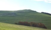 Tour Wandern Omblèze - Plateau d'Ambel (le tour) - Photo 14